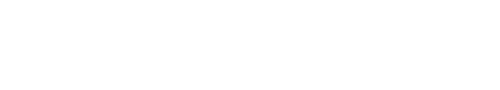 LION電動アシストブラシ